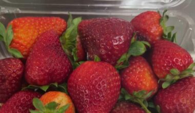 Cyclospora cases are on the rise in South Florida, and experts are emphasizing washing before eating produce