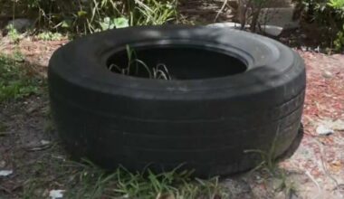 City officials across South Florida urge residents to report illegal dumping, which has been a persistent issue