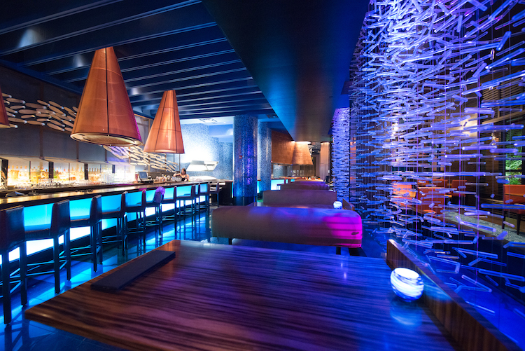 bluezoo interior