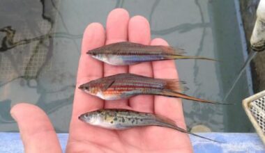 Florida's natural aquatic environments & aquaculture with Angela Collins and Eric Cassiano