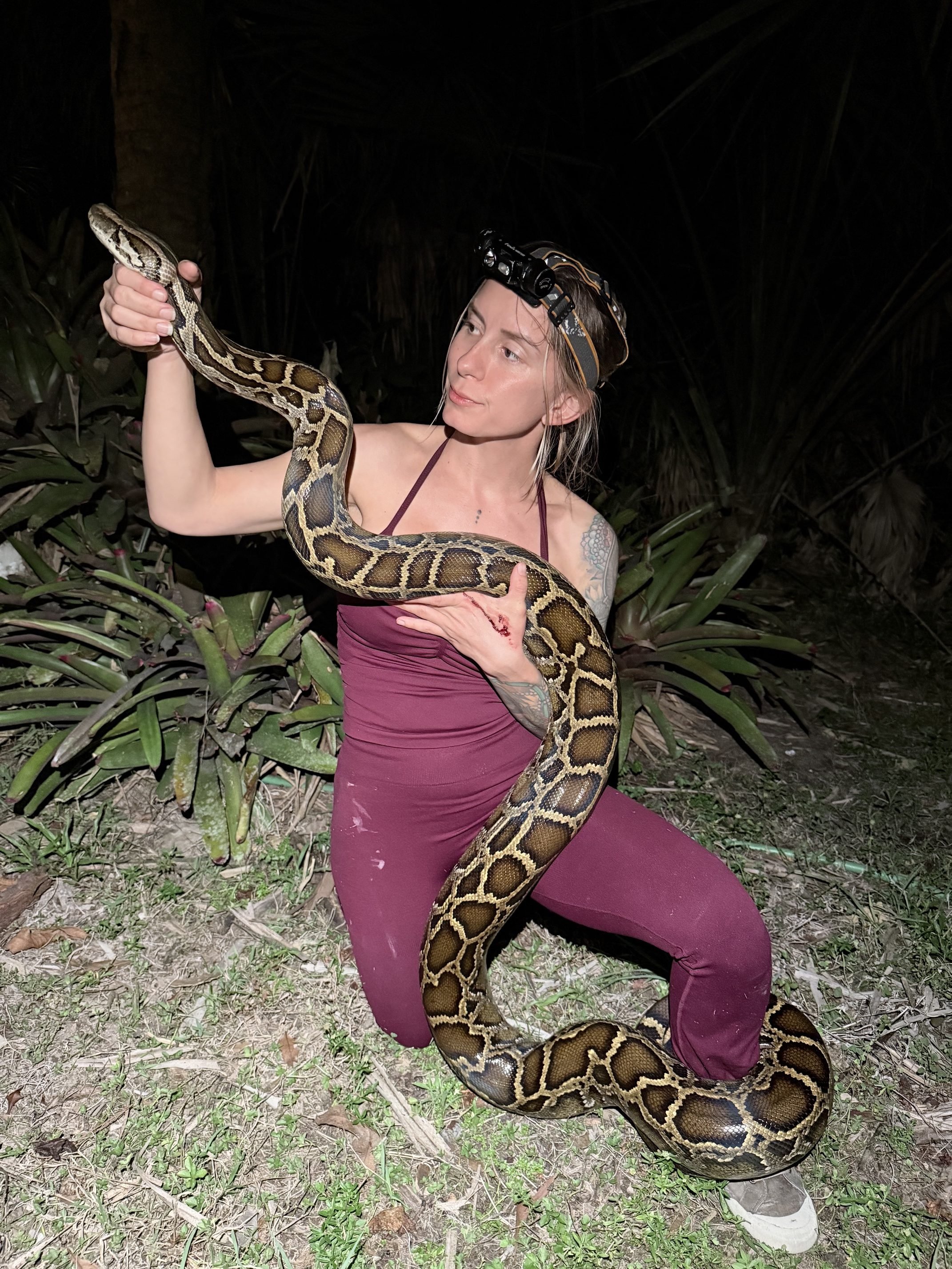 python challenge