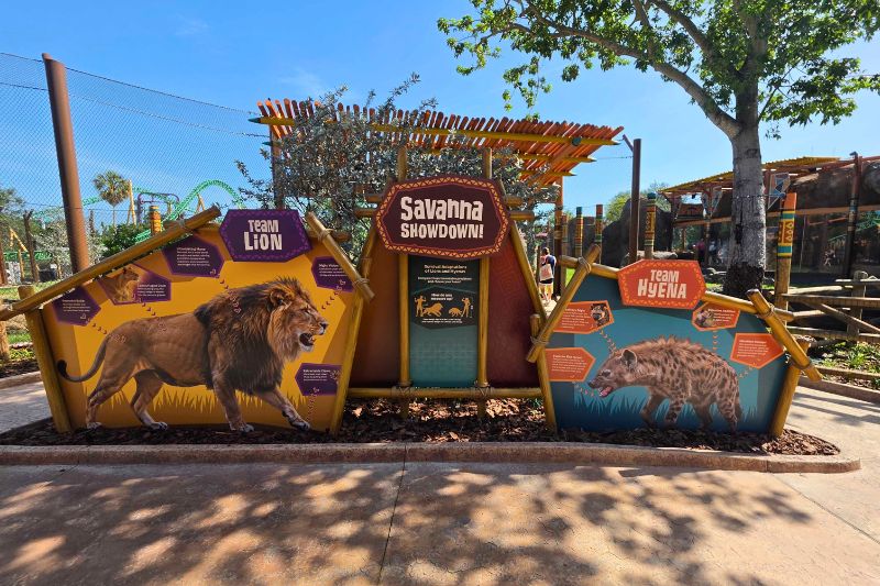 Lion and Hyena Ridge Busch Gardens informational signs