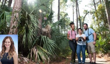 Parks Have the Power to Reconnect and Center Us