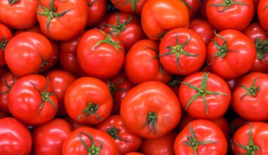 Tomatoes are the star of two dinners at MAD Arts in Dania