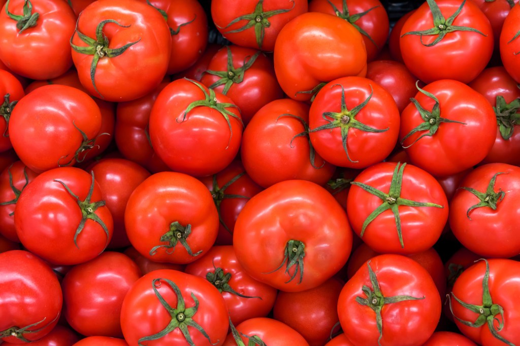Tomatoes are the star of two dinners at MAD Arts in Dania