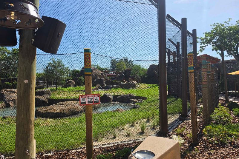 Themed fencing and lamps Lion and Hyena Ridge Busch Gardens