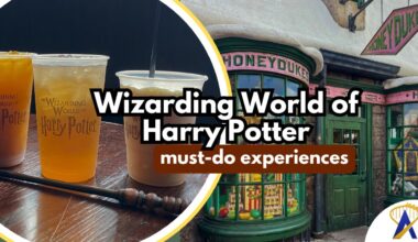 things to do wizarding world of harry potter land universal orlando