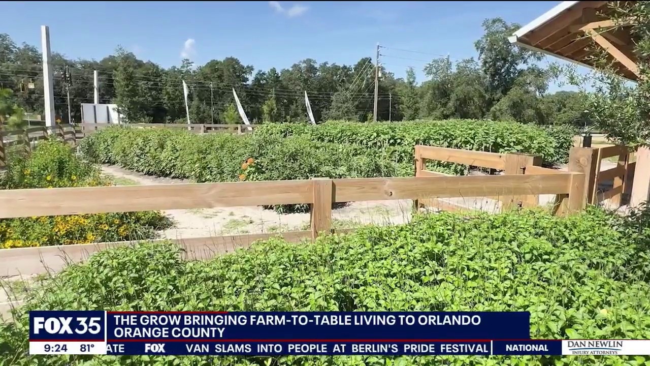 The Grow bringing farm-to-table living to Orlando