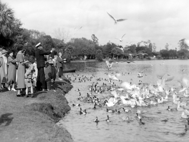Eden at Eola: A group of people stand on the shores of Lake Eola feeding the ducks. The city grew up around Lake Eola, named for a friend of the Summerlins, one of Orlando's founding families. (Orange County Regional History Center)