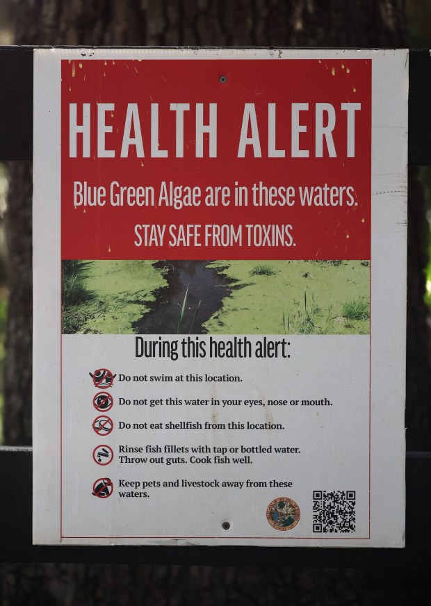 Blue green algae warning sign for Lake Jesup at Overlook Park in Oviedo, on Thursday, July 16, 2026. (Ricardo Ramirez Buxeda/ Orlando Sentinel)