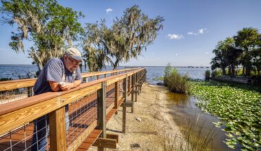 Will anyone clean up Central Florida's filthy Lake Jesup?