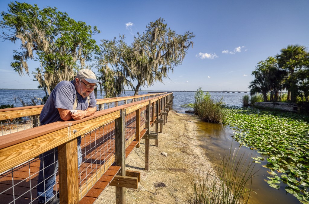 Will anyone clean up Central Florida's filthy Lake Jesup?