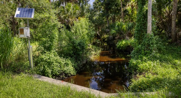 Salt Creek, pictured near Packard Avenue, feeds into Lake Jesup in Oviedo, on Thursday, July 16, 2026. (Ricardo Ramirez Buxeda/ Orlando Sentinel)