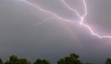 Lightning strikes during storms leave 1 dead, 5 injured