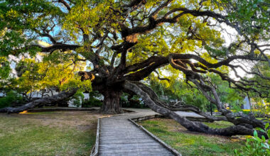 This Florida Ghost Town Near Jacksonville Was Abandoned For A Very Unusual Reason