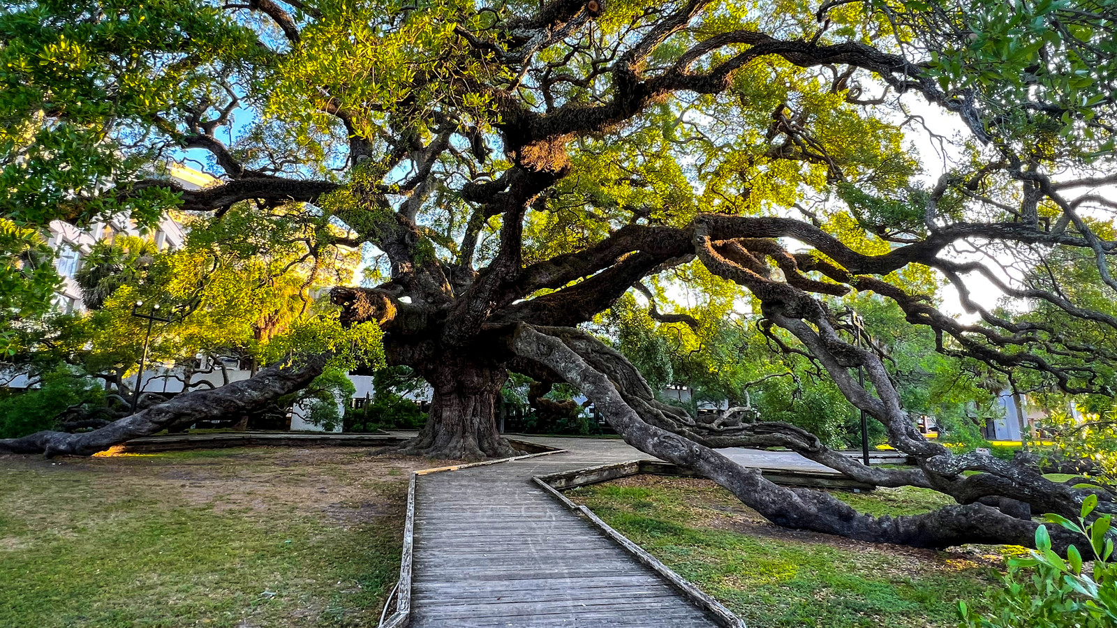 This Florida Ghost Town Near Jacksonville Was Abandoned For A Very Unusual Reason