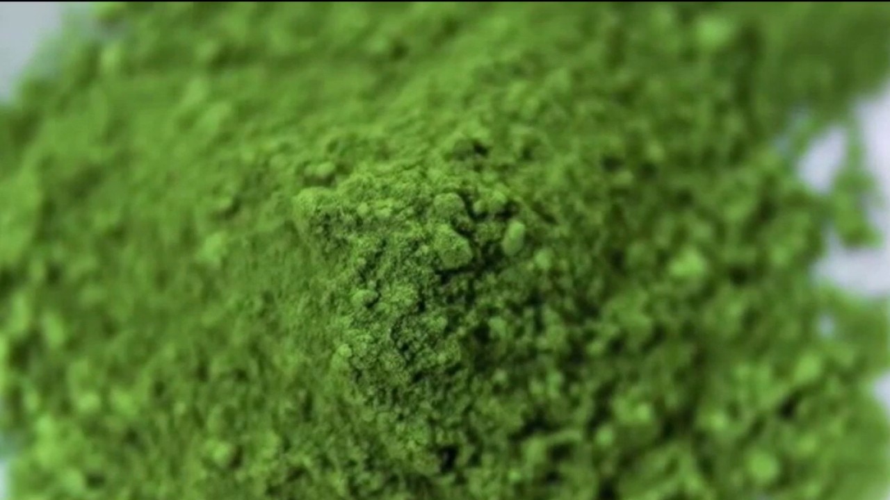Kratom investigation
