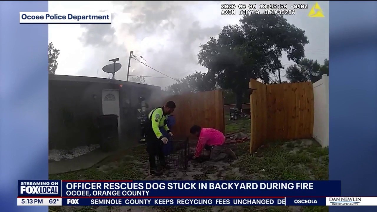 Officer, neighbor rescue trapped dog after lightning sparks house fire