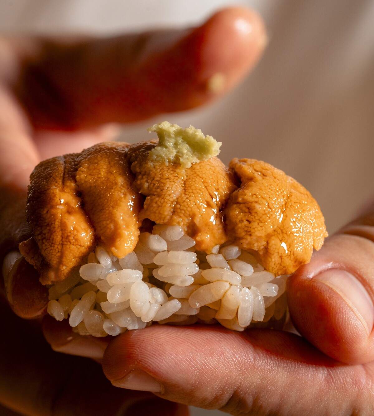 Uni at Takay on Coral Way in Miami.