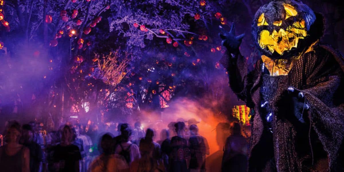 Guests walking through pumpkin scare zone during Universal Orlando's Halloween Horror Nights. Universal Orlando Halloween Horror Nights Alien Abduction