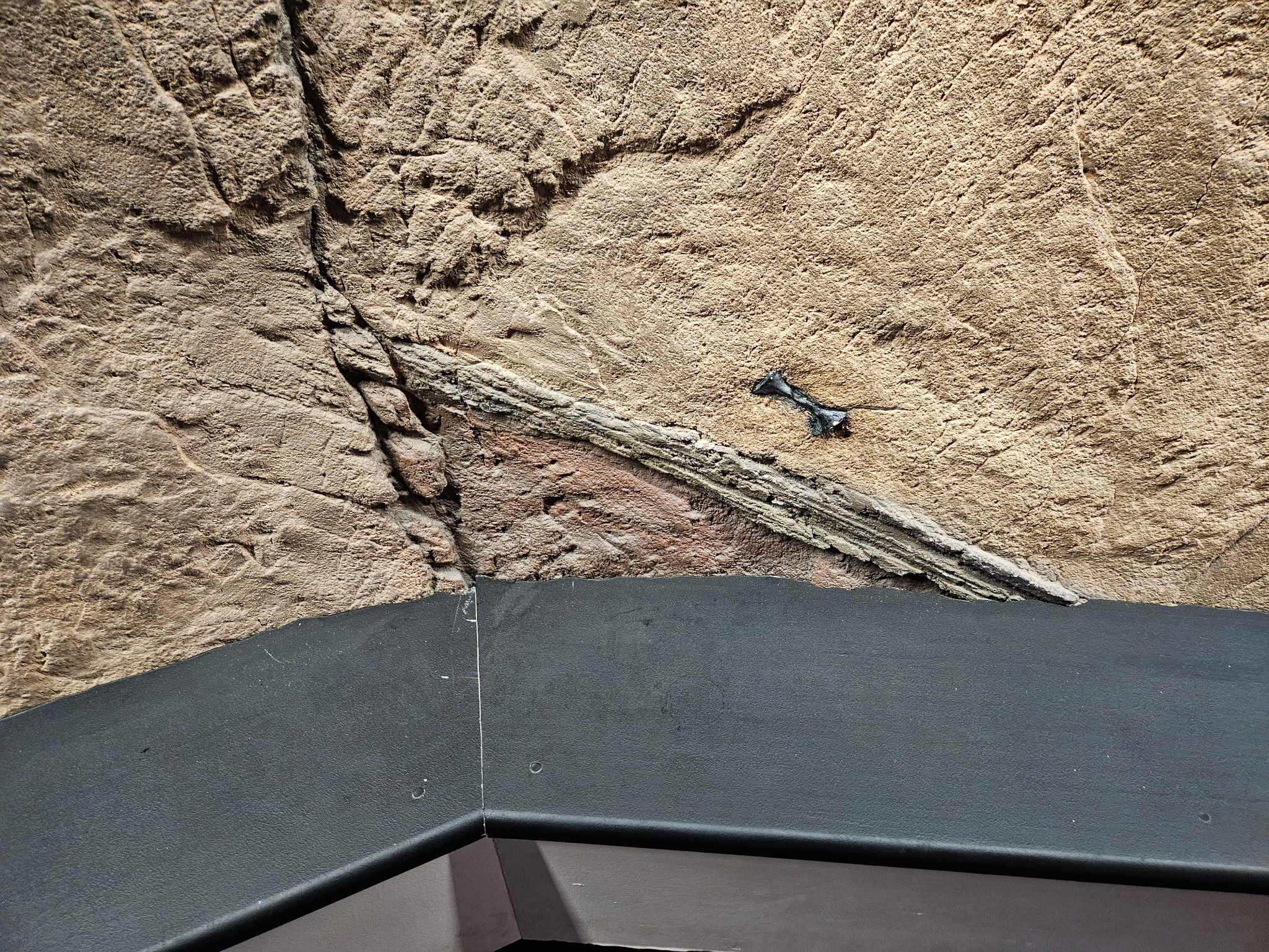 Another interactive element in the Jurassic Park Discovery Center at Universal Islands of Adventure has been removed. The interactive scanners on the rock wall are gone.