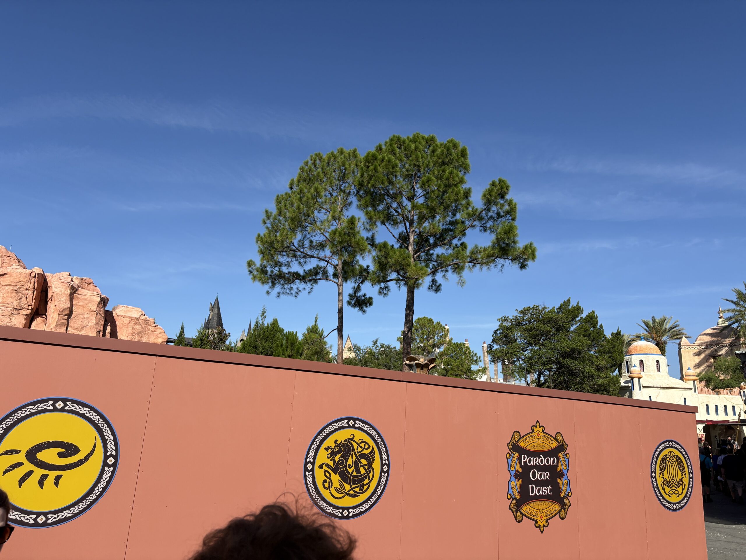 There are still several very tall trees towering over the construction walls, as we saw above today, July 23.