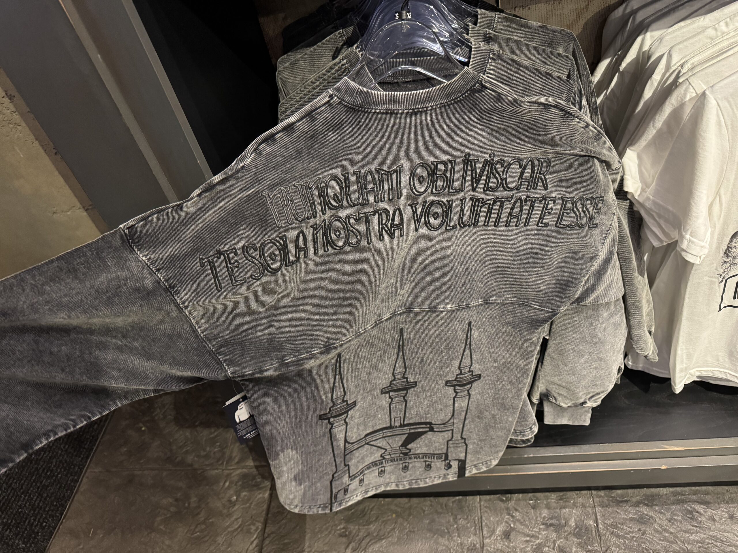 On the back is artwork of Darkmoor's well. Above is the well's Latin inscription: "Nunquam obliviscar te sola nostra voluntate esse." This approximately translates to "Never forget you exist by our will."
