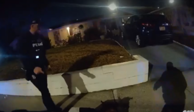Tampa police officer dismissed after 'repeated violations': TPD