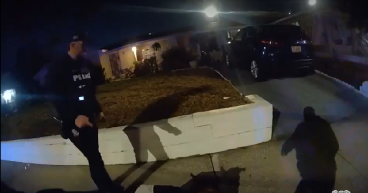 Tampa police officer dismissed after 'repeated violations': TPD