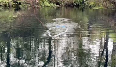 Meet Sunfish, the robot mapping Wakulla Springs' caves