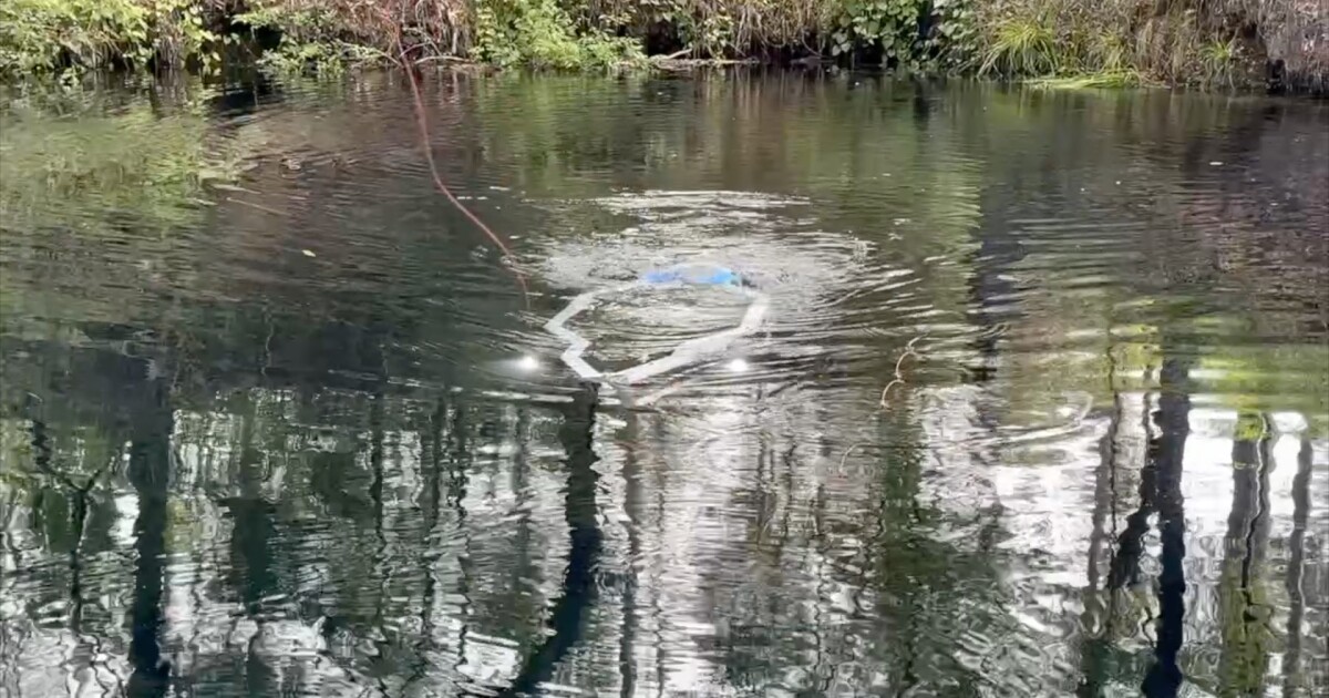 Meet Sunfish, the robot mapping Wakulla Springs' caves