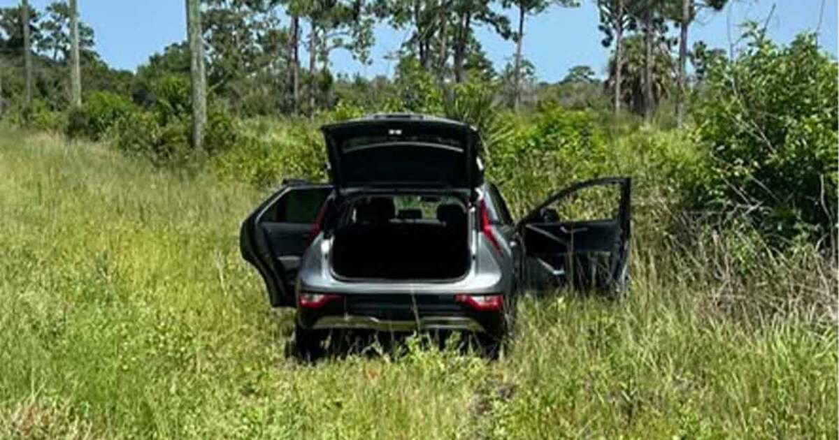 Palm Beach County man leads deputies on high-speed chase