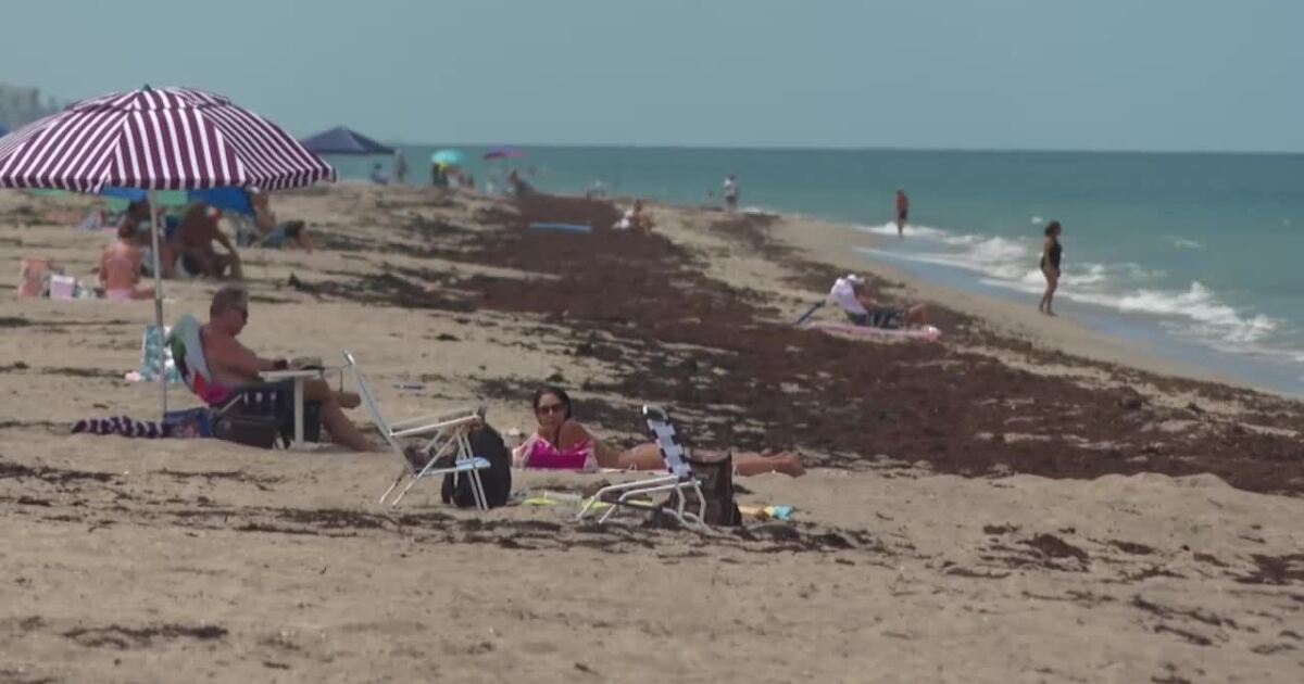 Jensen Beach Park restrooms, concession building rebuild expected by late 2027