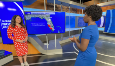 Burn bans and dry conditions limit personal fireworks in parts of Tampa Bay
