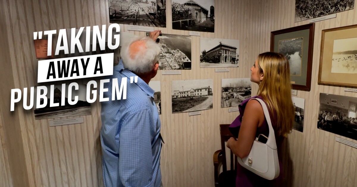 Residents push back on plan to turn park into a mega-yacht marina