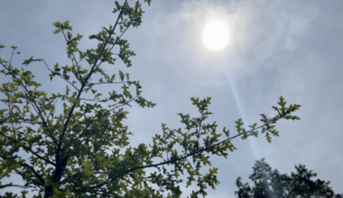Staying safe as heat wave brings dangerous temperatures