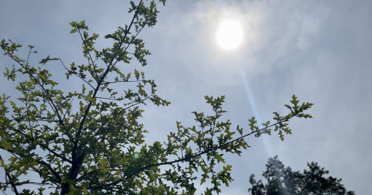 Staying safe as heat wave brings dangerous temperatures