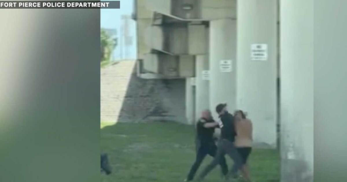 Police address video circulating on social media of officer striking suspect