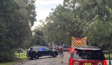 TPD: Tree falls on car killing driver, passenger