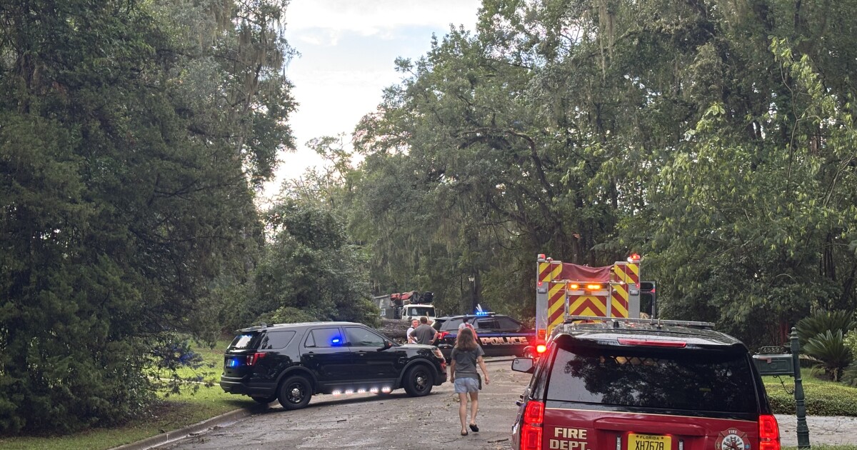 TPD: Tree falls on car killing driver, passenger