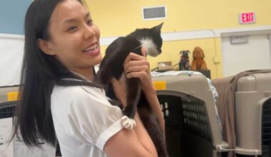 Prayers answered: Owners reunited with pets rescued from home