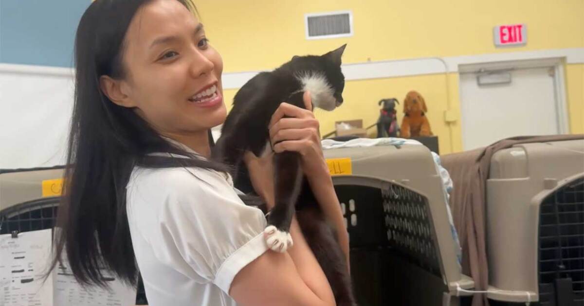 Prayers answered: Owners reunited with pets rescued from home