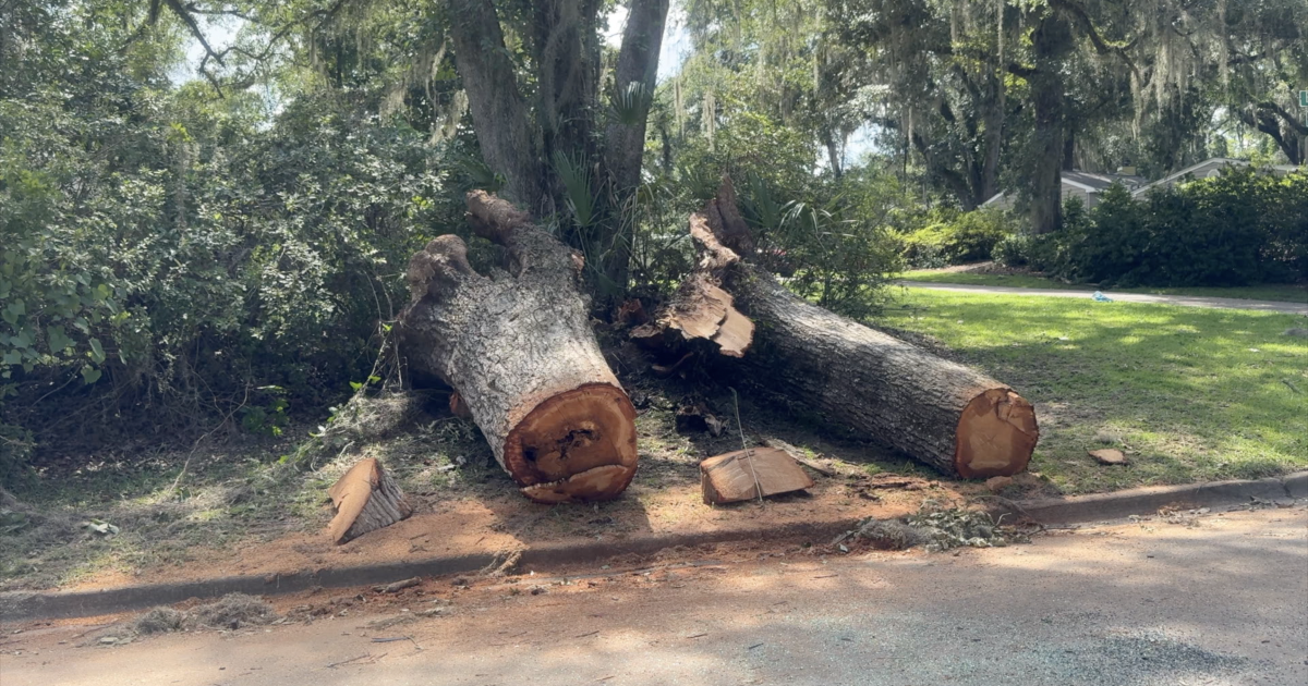 Neighbors recount deadly tree fall that killed two in Northeast Tallahassee