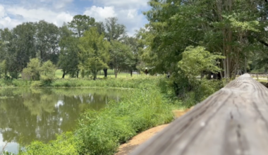 Summer showers helping improve drought conditions