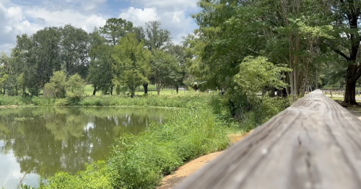 Summer showers helping improve drought conditions