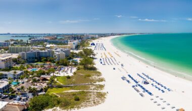 Two charged with spreading mothballs in shorebird nesting area on St. Pete Beach