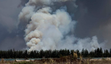Miami-Dade's brushfires helped reveal that ICE violated over 100 court orders in South Florida