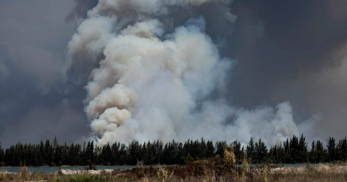 Miami-Dade's brushfires helped reveal that ICE violated over 100 court orders in South Florida