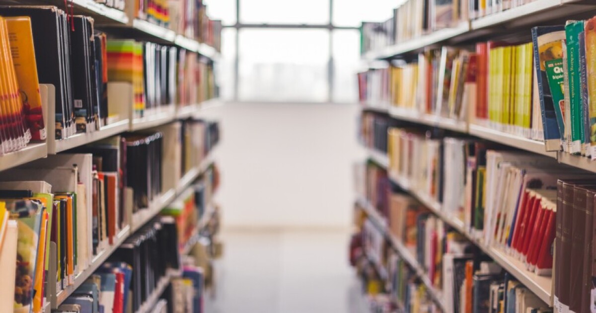 After book bans, some officials question traditional libraries