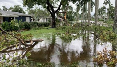Florida utility regulators approve hurricane recovery refund | WGCU News